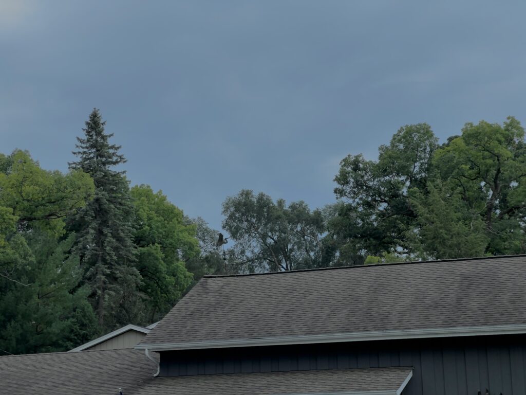 Spring Roof Inspections