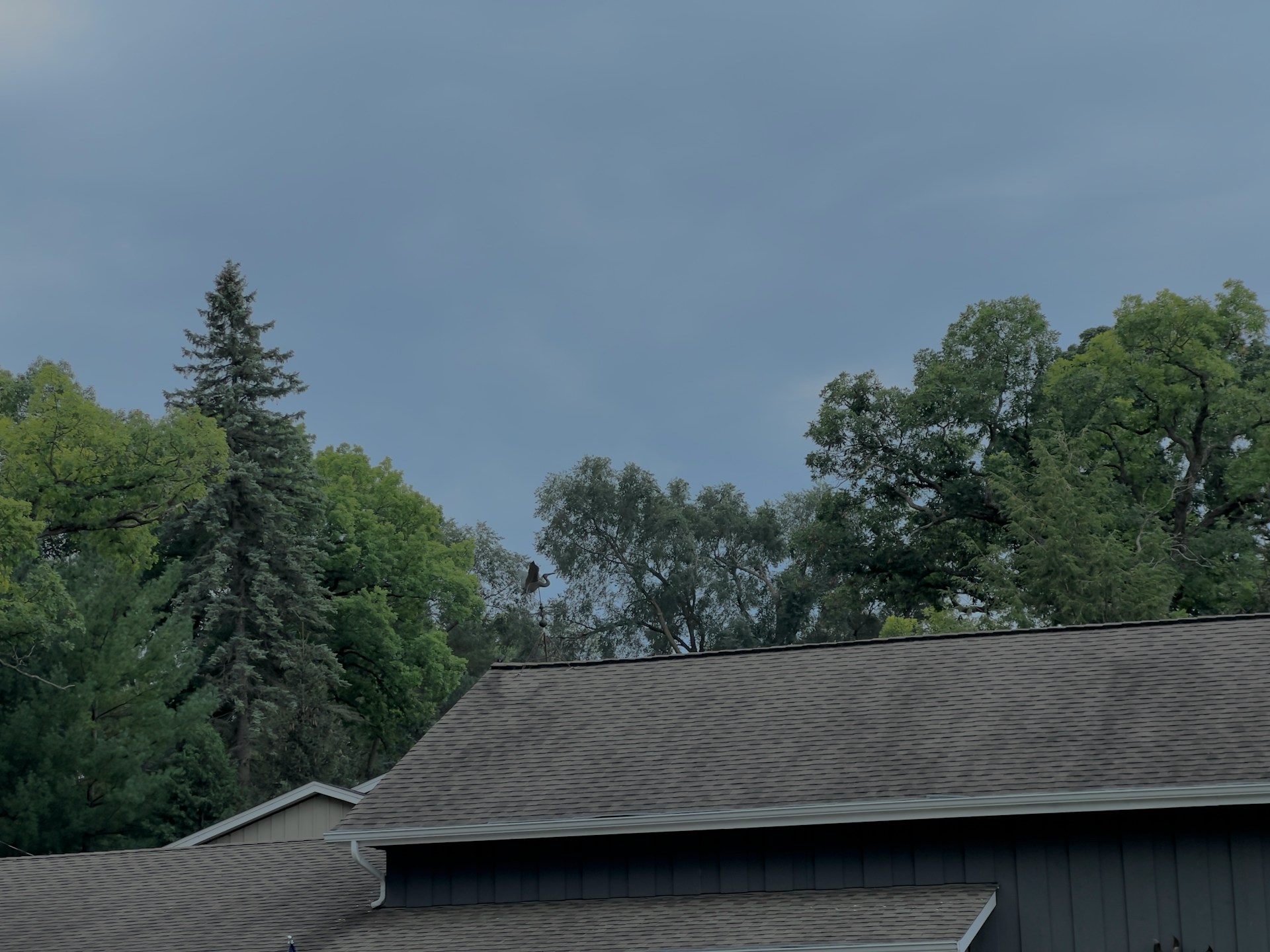 Spring Roof Inspections