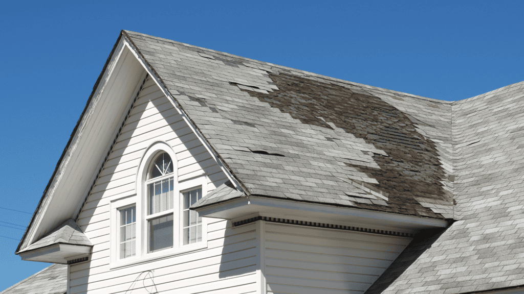signs of hail damage on roof